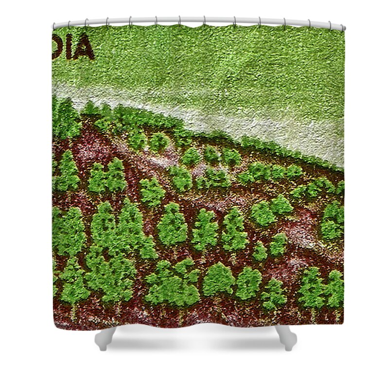 India Shower Curtain featuring the photograph India 10.00 Stamp by Bill Owen