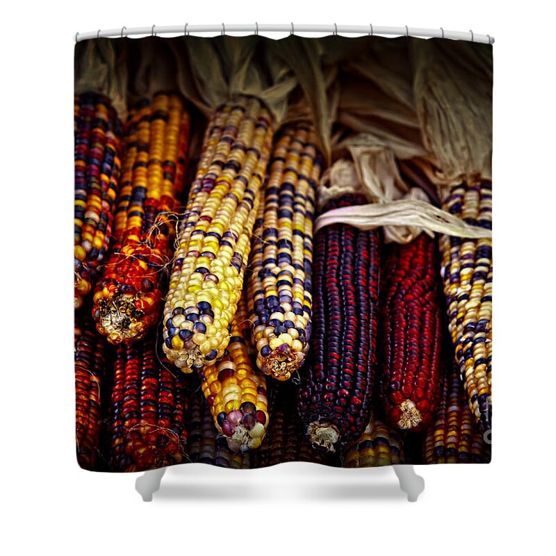 Corn Shower Curtain featuring the photograph Indian corn by Elena Elisseeva