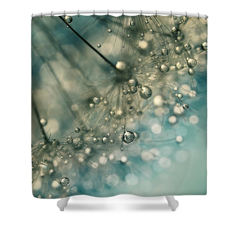 Dandelion Shower Curtain featuring the photograph Indigo Sparkles by Sharon Johnstone