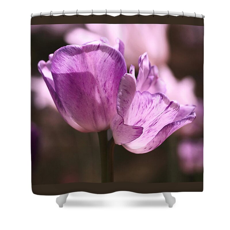 Tulips Shower Curtain featuring the photograph Inseparable by Rona Black