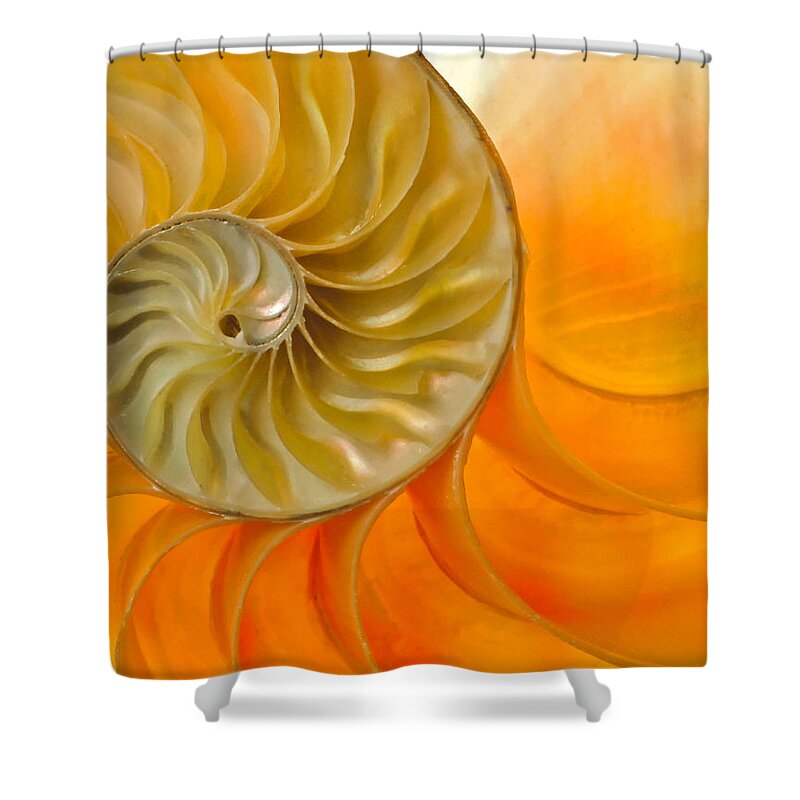 Shell Shower Curtain featuring the photograph Inside a Nautilus Shell by David and Carol Kelly