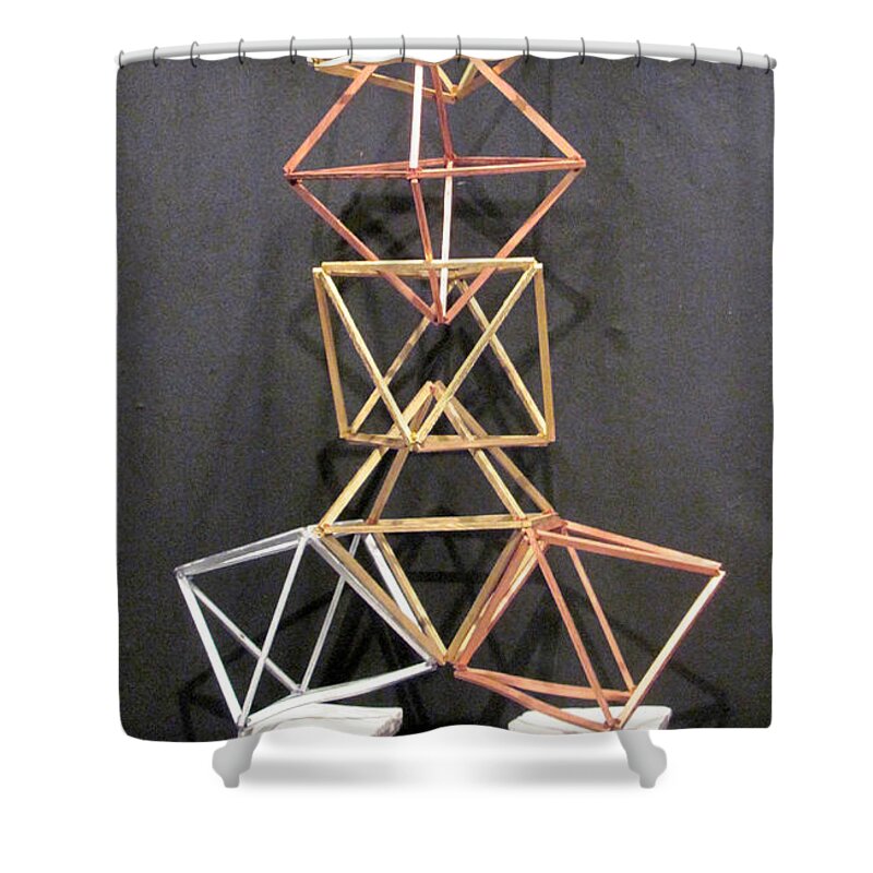 Wood Shower Curtain featuring the mixed media Interdependence by Steve Sommers