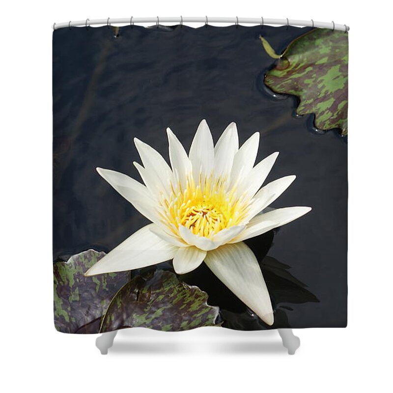 White Shower Curtain featuring the photograph Into the center...  # by Rob Luzier