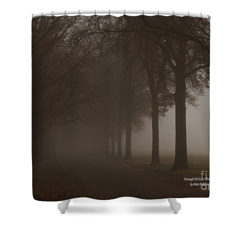 Fog Shower Curtain featuring the photograph Into The Fog by Pam Holdsworth