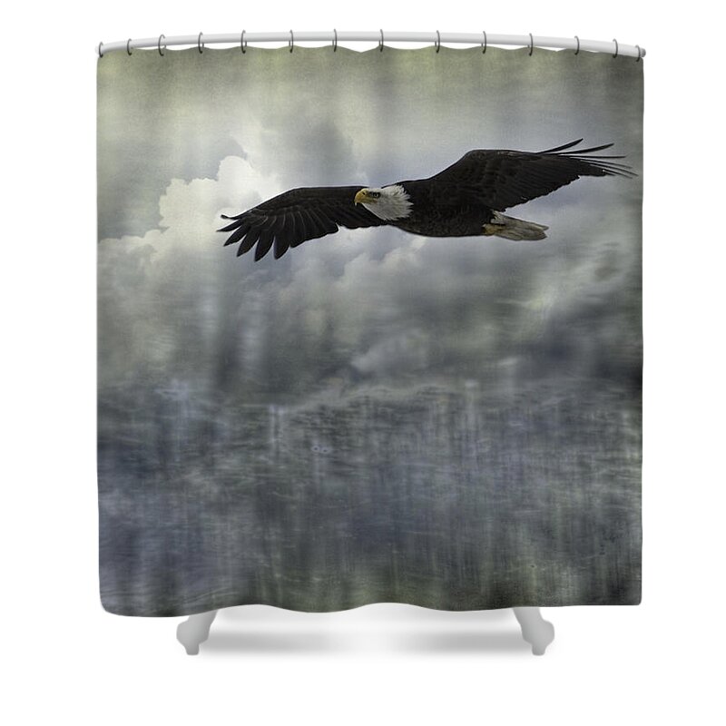 American Adult Bald Eagle Shower Curtain featuring the photograph Into The Heavens by Thomas Young