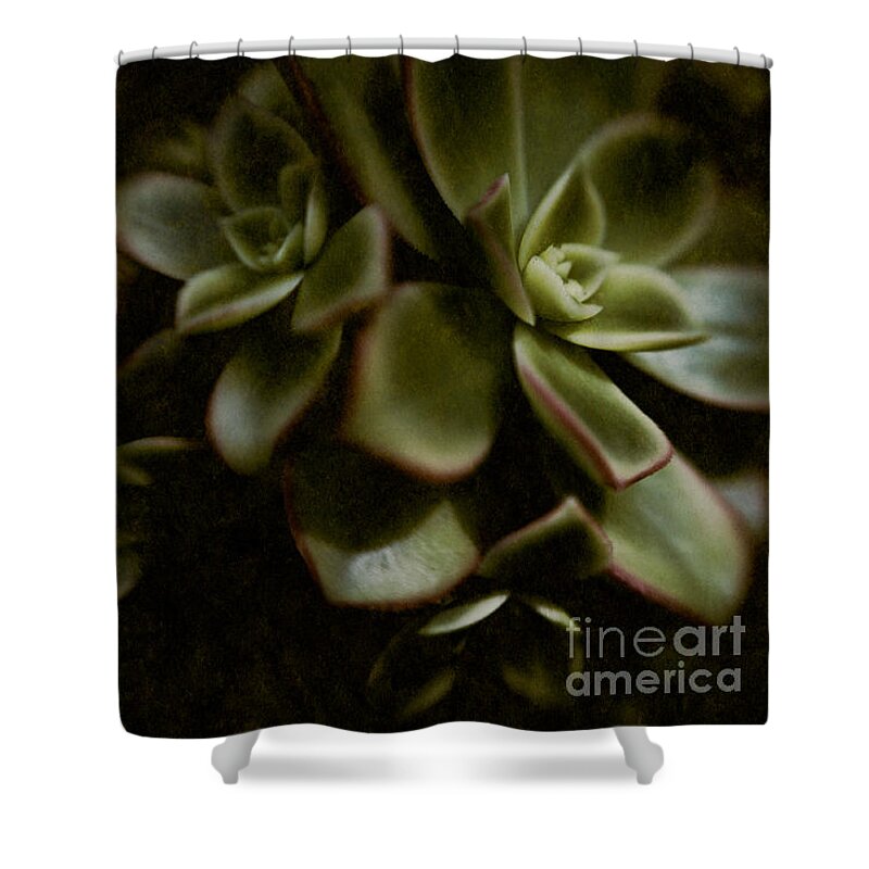 Abstract Shower Curtain featuring the photograph Into the Light by Venetta Archer