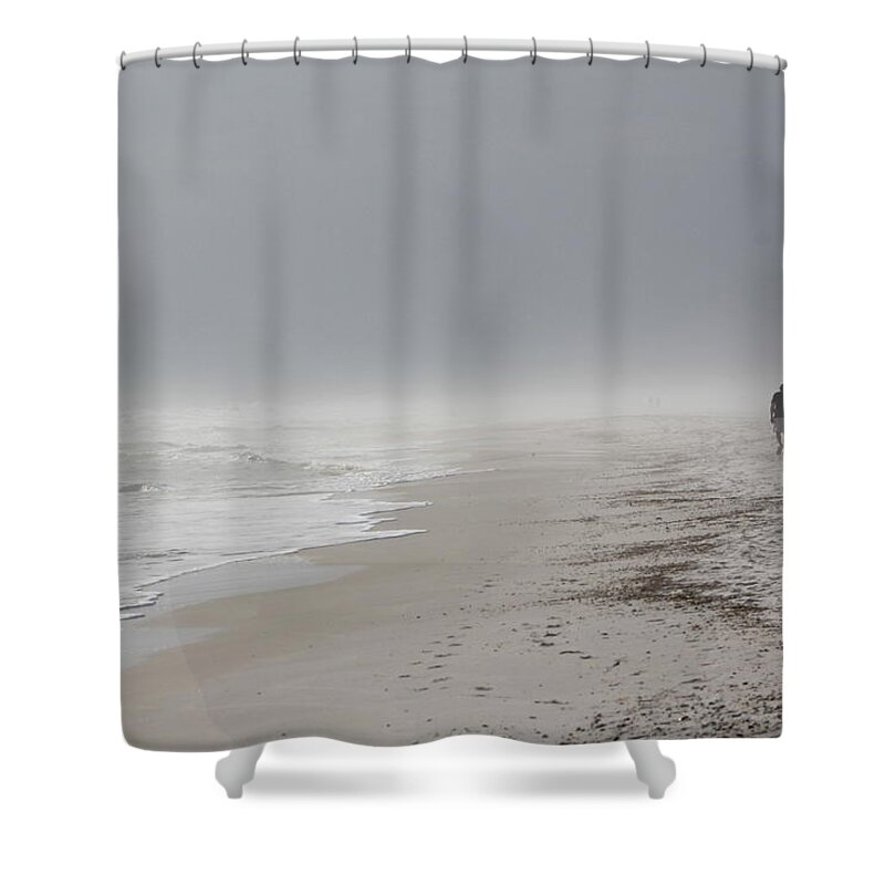 Gulf Shower Curtain featuring the photograph Into the mist... by Carol Estes