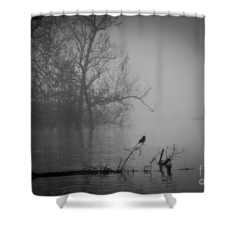 Fog Shower Curtain featuring the photograph Into The Soup by Douglas Stucky