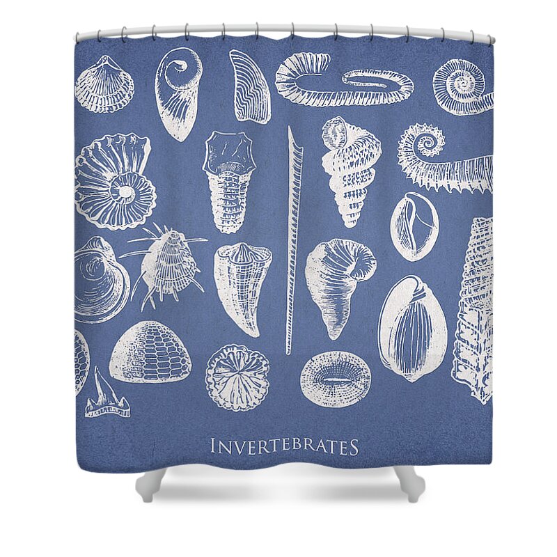 Invertebrates Shower Curtain featuring the digital art Invertebrates by Aged Pixel