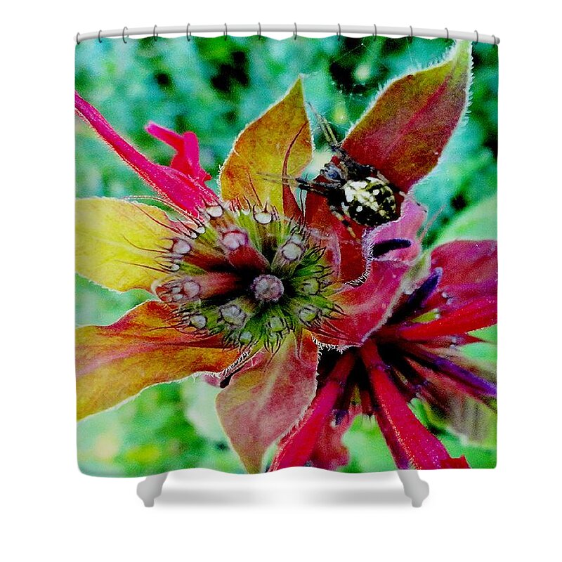 Invitation Shower Curtain featuring the photograph Invitation by Mike Breau
