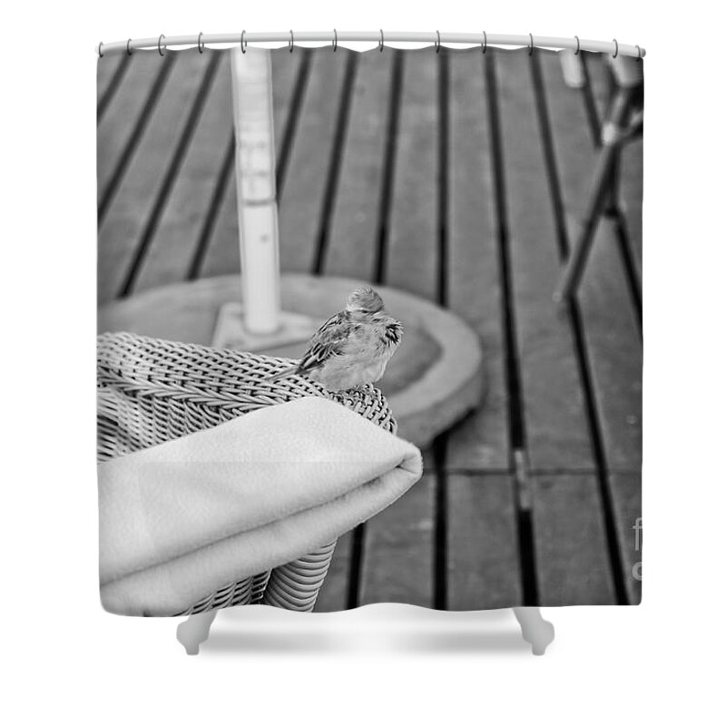 Sparrow Shower Curtain featuring the photograph Invite Me To Your Table by Dariusz Gudowicz