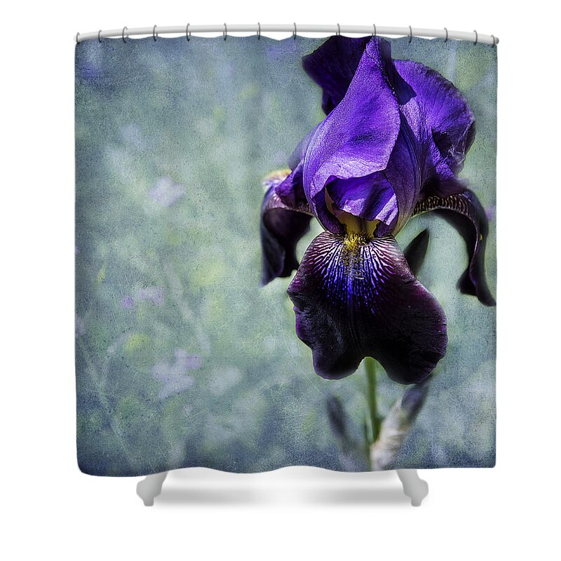 Iris Shower Curtain featuring the photograph Iris - Purple and Blue - Flowers by Belinda Greb