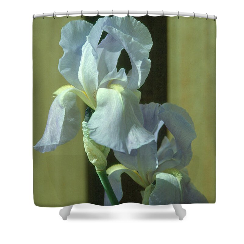Flower Shower Curtain featuring the photograph Iris 2 by Andy Shomock