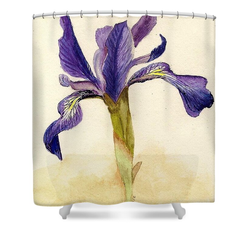 Iris Shower Curtain featuring the painting Iris by Barbie Corbett-Newmin