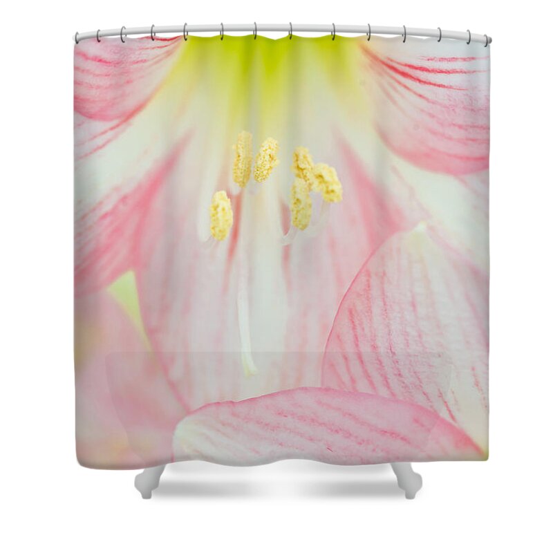 Abstract Shower Curtain featuring the photograph Iris Close-up by Michael Lustbader