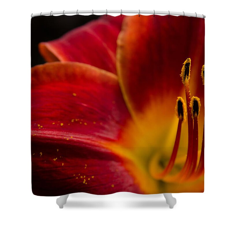 Iris Shower Curtain featuring the photograph Iris Flower Power by Rick Bartrand