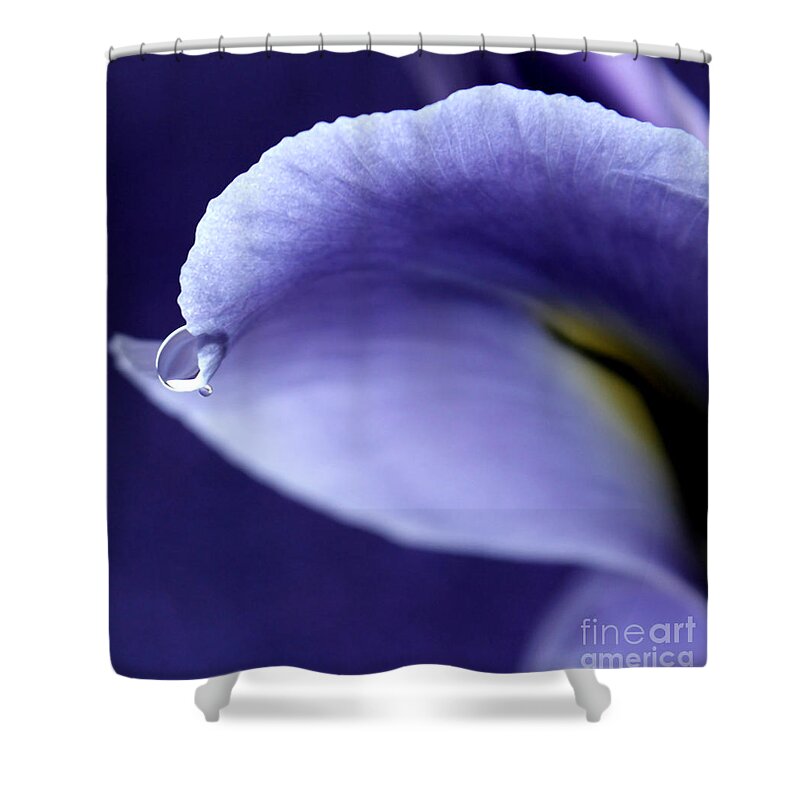 Purple Iris Shower Curtain featuring the photograph Iris Rain by Krissy Katsimbras