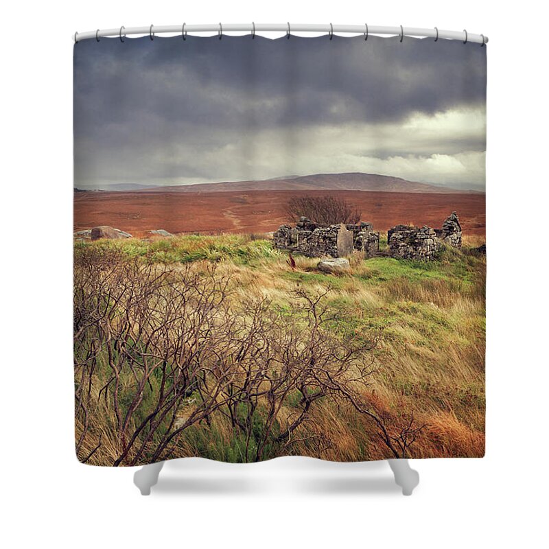 Grass Family Shower Curtain featuring the photograph Irish Landscape by Mammuth