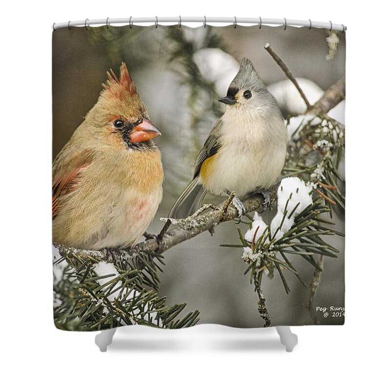 Cardinal Shower Curtain featuring the photograph Is This Seat Taken? by Peg Runyan