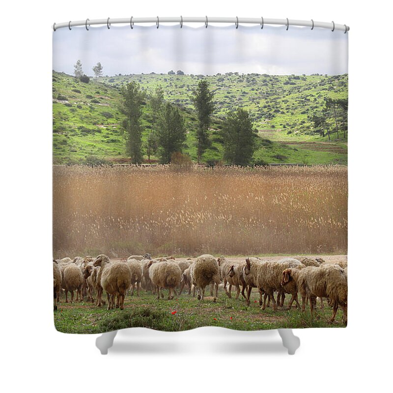 Scenics Shower Curtain featuring the photograph Israel - Far South by Ophir Michaeli