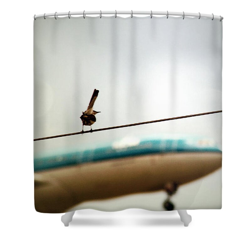 Bird Shower Curtain featuring the photograph It's a Bird It's a Plane by Trish Mistric