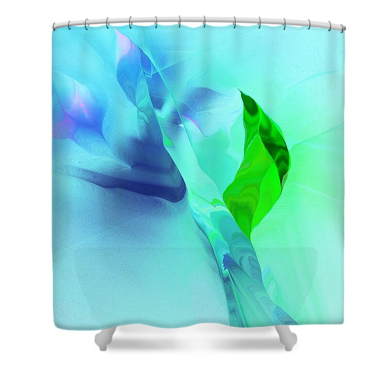 Fine Art Shower Curtain featuring the digital art It's A Mystery by David Lane