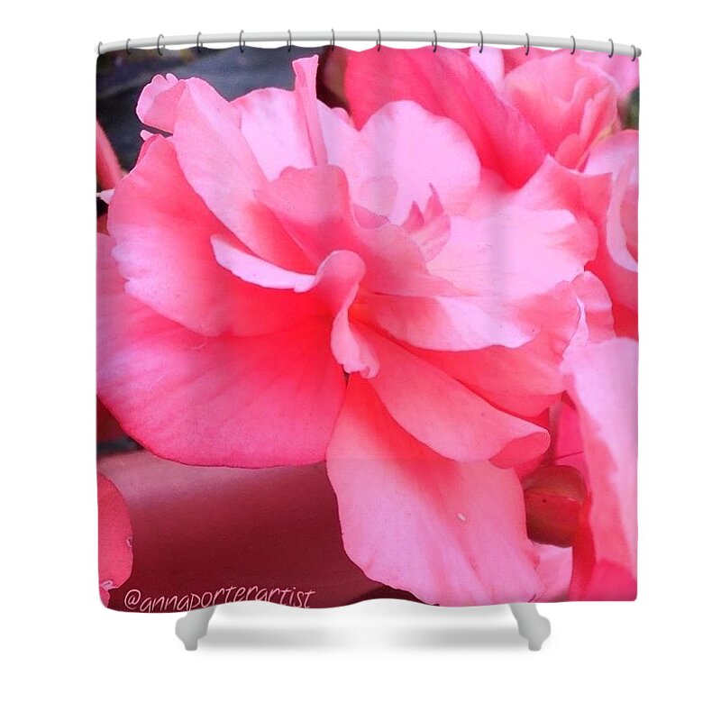 Global_nature_pinks Shower Curtain featuring the photograph It's A Pink Party, #flowering #nonstop by Anna Porter