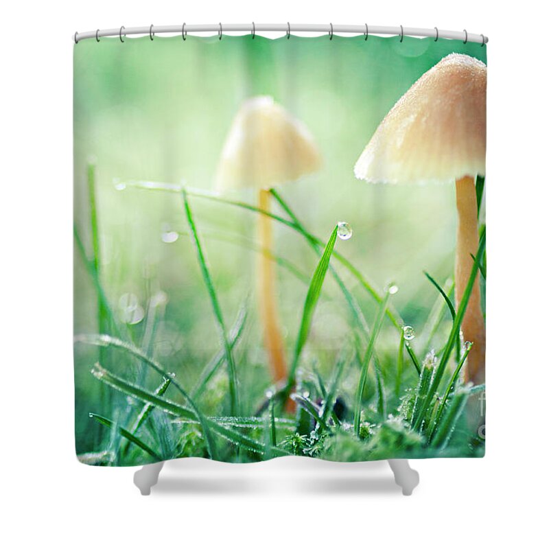Mushroom Shower Curtain featuring the photograph It's a small world by Sylvia Cook