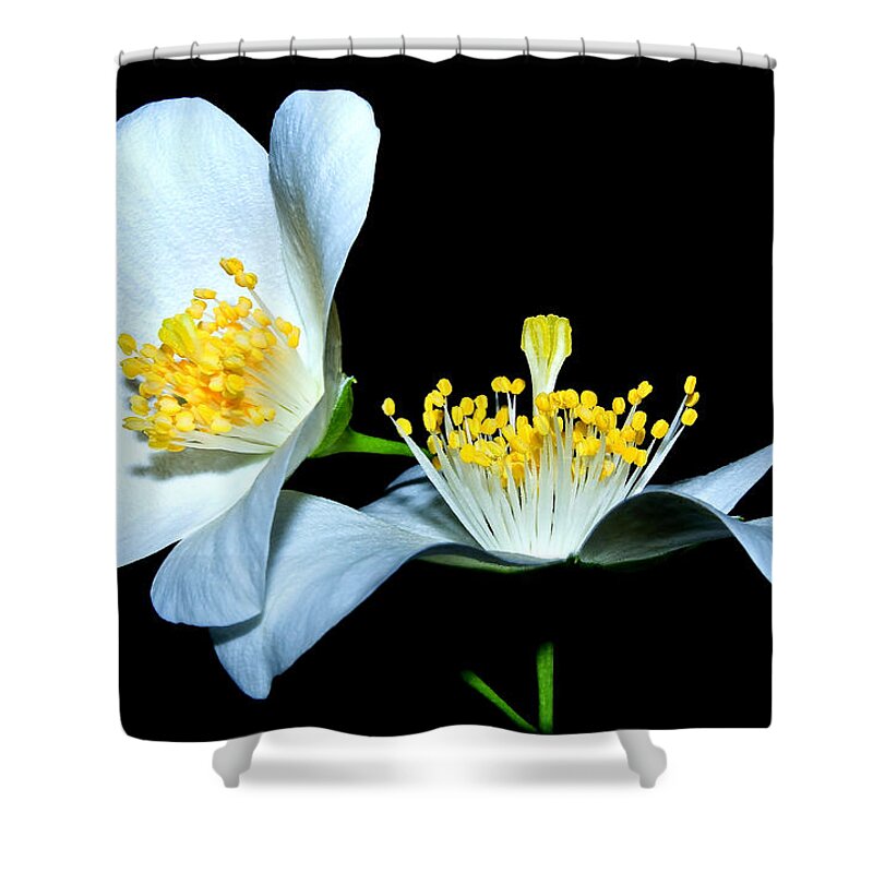 Wildflowers Shower Curtain featuring the photograph It's You And Me...Together by Tammy Schneider