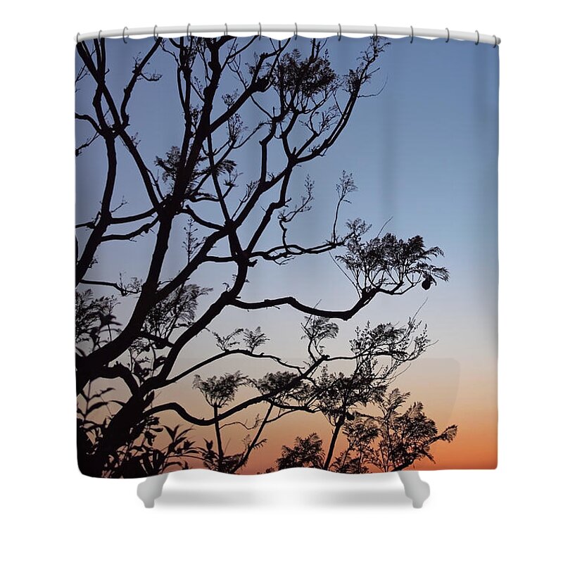 Jacarandas Shower Curtain featuring the photograph Jacaranda Sunset by Rona Black