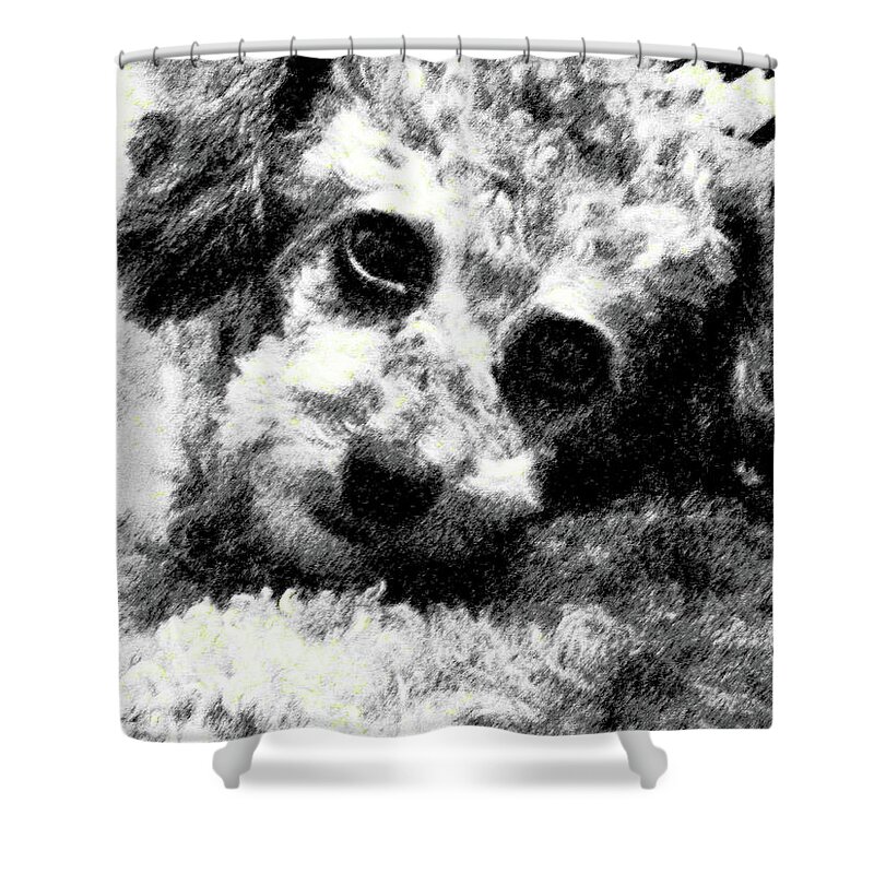 Abstract Shower Curtain featuring the photograph Jack by Lenore Senior