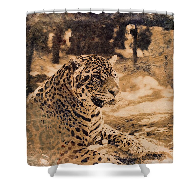 Jaguars. Jaguar Shower Curtain featuring the photograph Jaguar in Sepia by Douglas Barnard