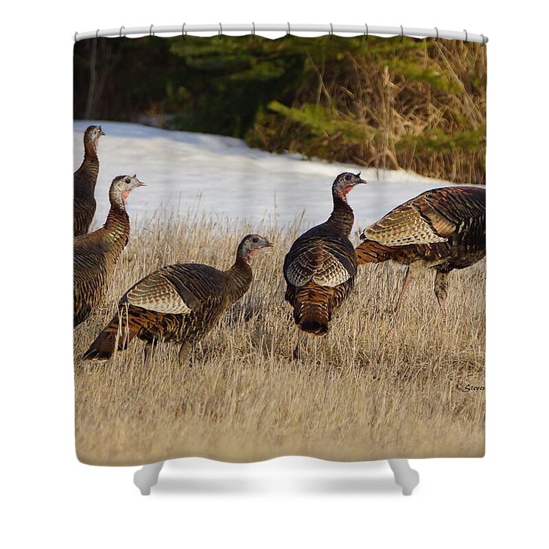 Turkey's Shower Curtain featuring the photograph Jake's and Hen's by Steven Clipperton