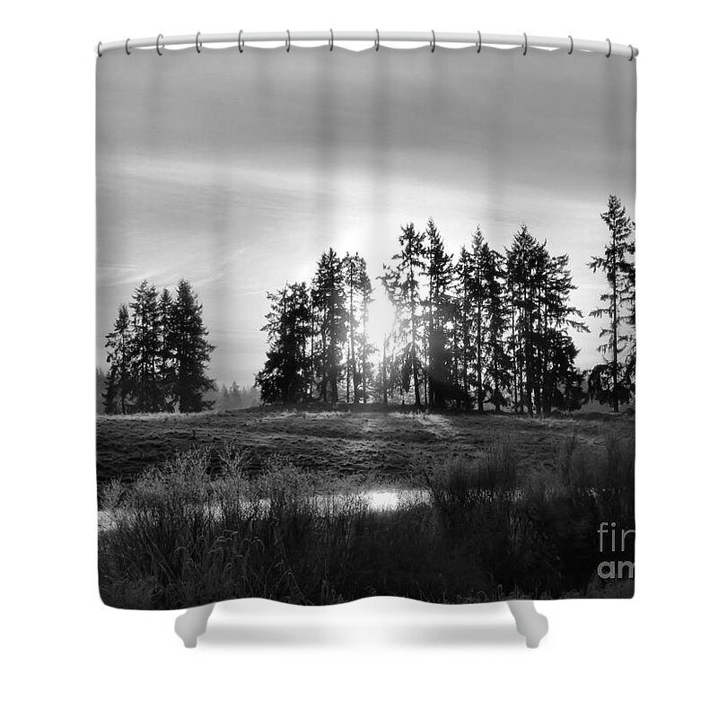 Landscape Shower Curtain featuring the photograph January Morning B/W by Rory Siegel