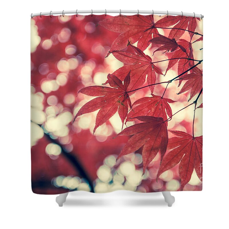 Autumn Shower Curtain featuring the photograph Japanese Maple Leaves - Vintage by Hannes Cmarits