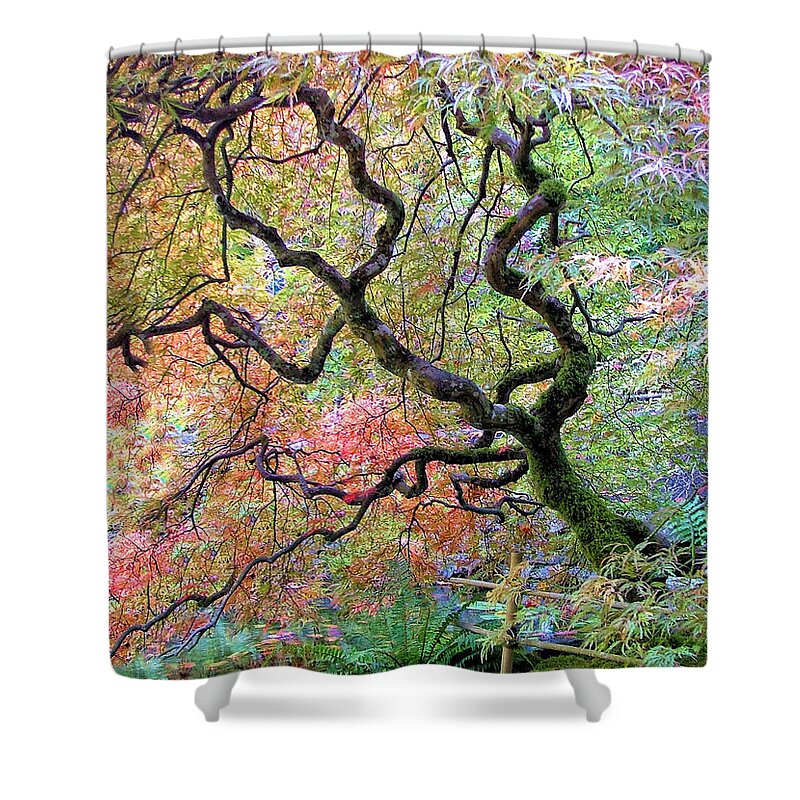 Japanese Maple Tree Shower Curtain featuring the photograph Japanese Maple by Wendy McKennon