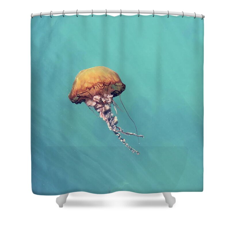 Underwater Shower Curtain featuring the photograph Jelly Fish by Photo By Laura Kalcheff