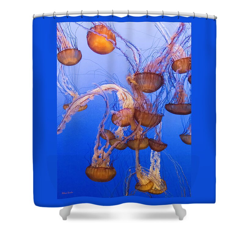 Jellyfish Shower Curtain featuring the photograph Jellyfish by Rebecca Samler