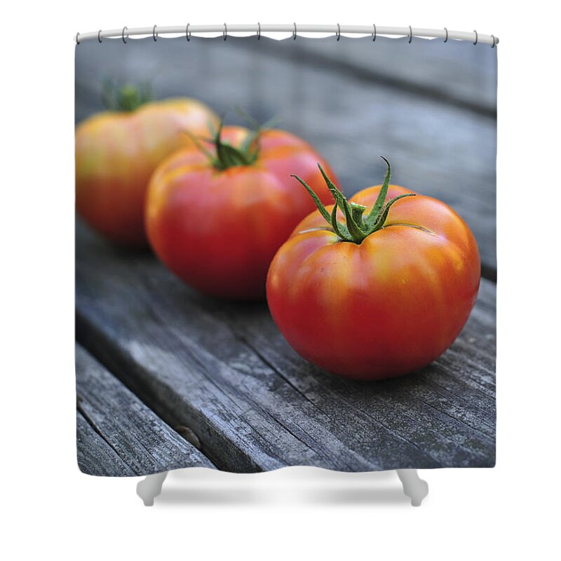 Jersey Tomatoes Shower Curtain featuring the photograph Jersey Tomatoes by Terry DeLuco
