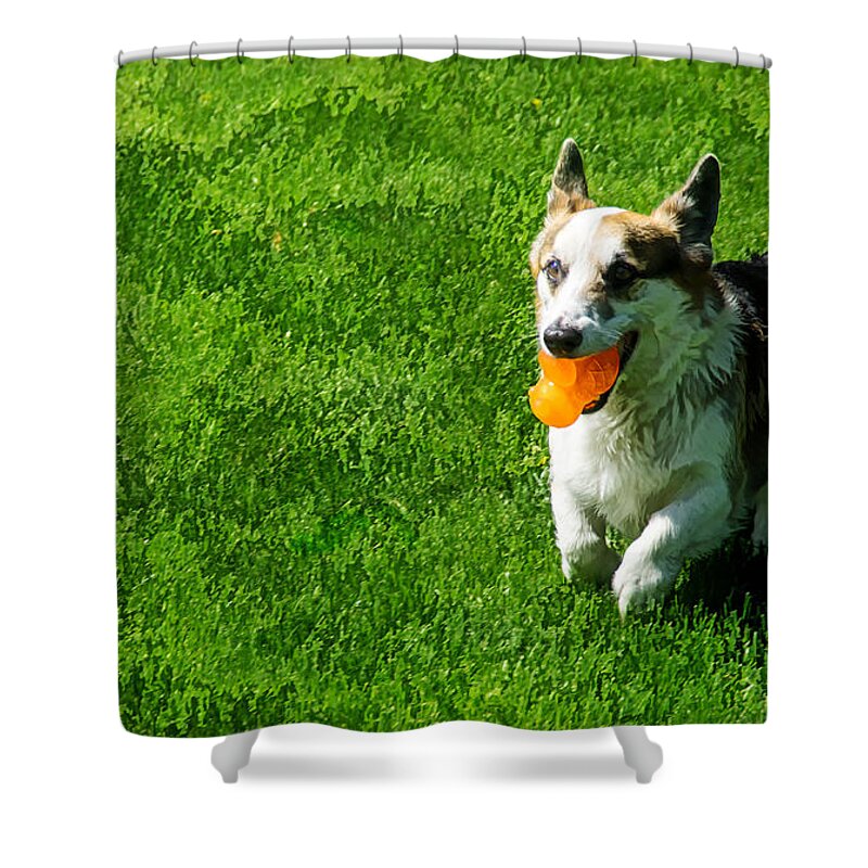 Johnny Shower Curtain featuring the photograph Johnny and His Toy by Mick Anderson