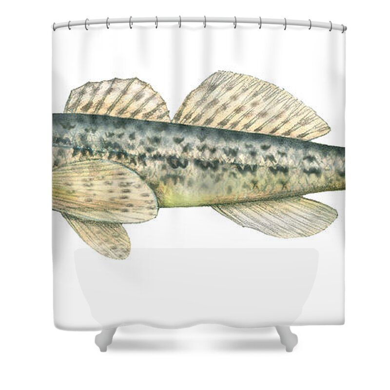 Johnny Darter Shower Curtain featuring the photograph Johnny Darter by Carlyn Iverson