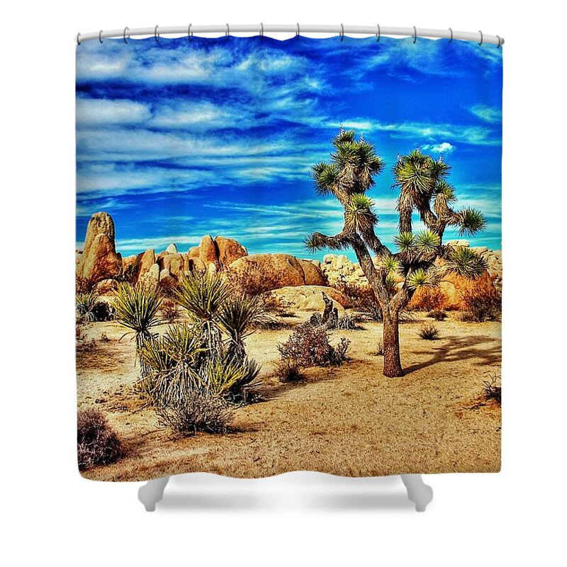 Joshua Tree Shower Curtain featuring the photograph Joshua Tree by Benjamin Yeager