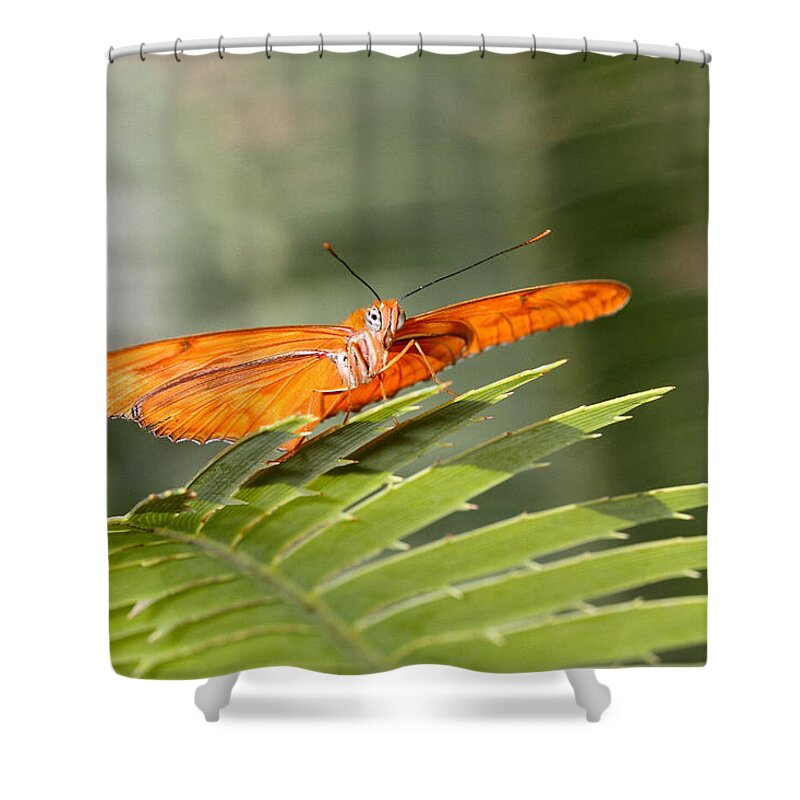 Julia Butterfly Shower Curtain featuring the photograph Julia on a leaf by Ruth Jolly
