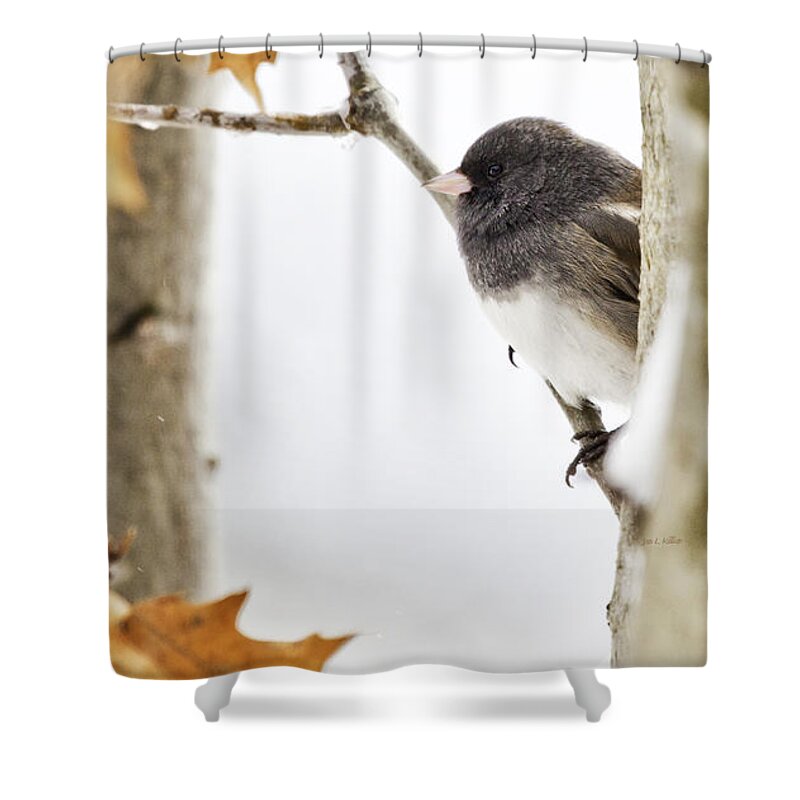 Junco Shower Curtain featuring the photograph Junco and Oak by Jan Killian