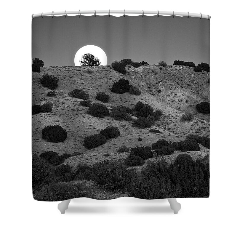 Juniper Shower Curtain featuring the photograph Juniper at Moonrise by Mary Lee Dereske