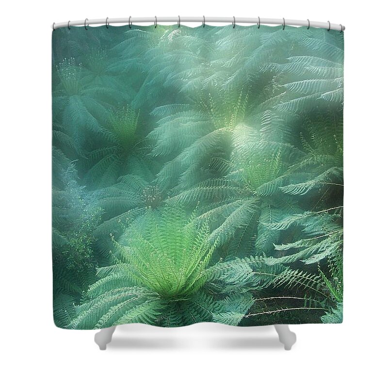 Tree Ferns Shower Curtain featuring the photograph Jurassic Gully by Evelyn Tambour