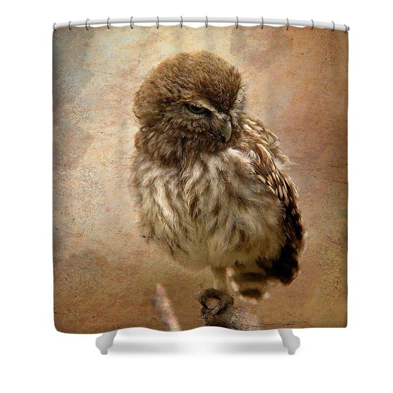 Little Shower Curtain featuring the mixed media Just awake Little Owl by Perry Van Munster
