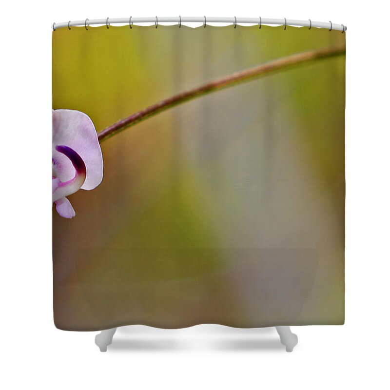 Lone Shower Curtain featuring the photograph Just Hanging Around by Gary Holmes