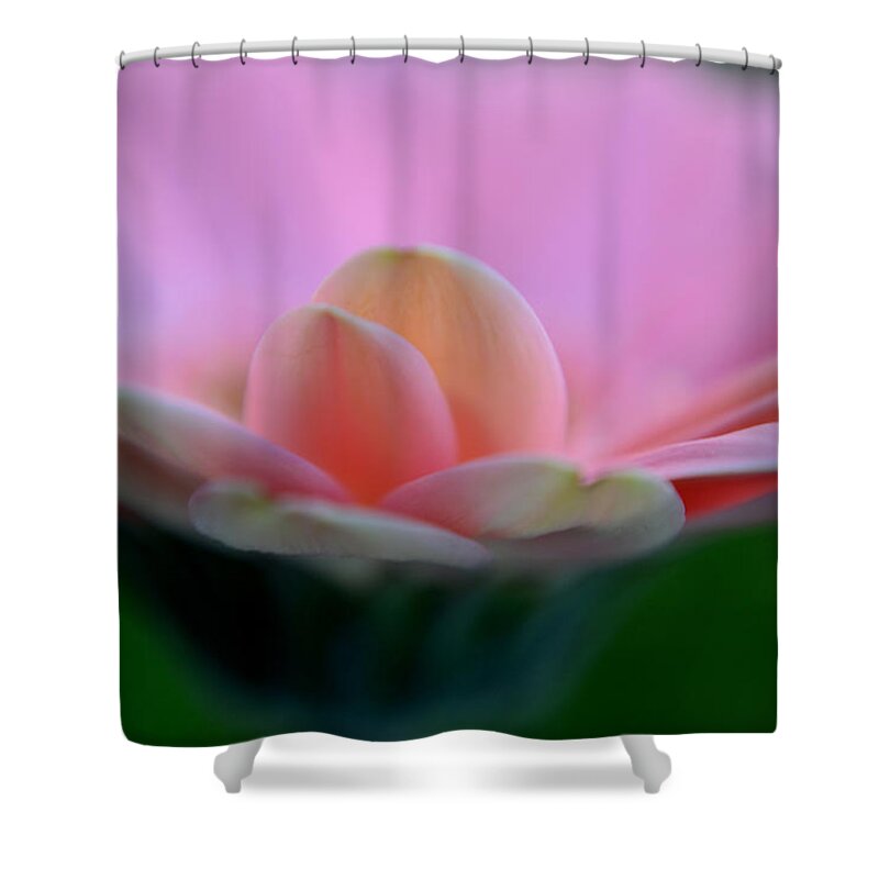 Flower Shower Curtain featuring the photograph Just One Glance... by Melanie Moraga