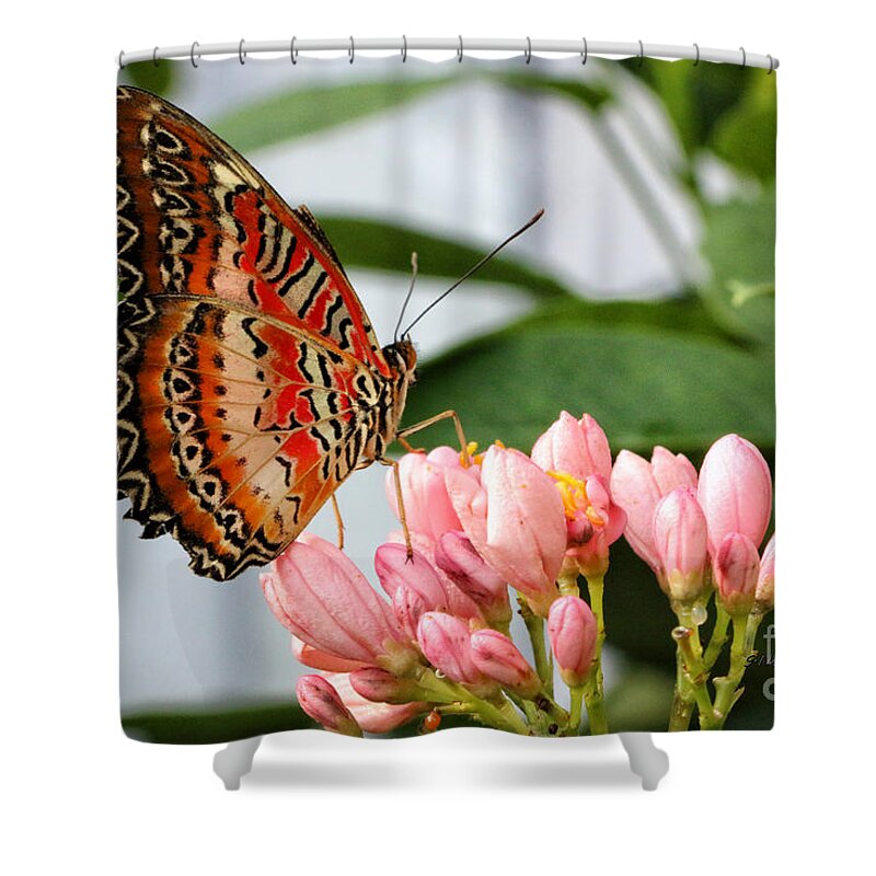 Butterfly Shower Curtain featuring the photograph Just Pink Butterfly by Shari Nees